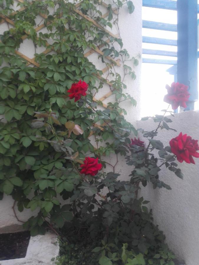 Rania Studios Poros Town Exterior photo